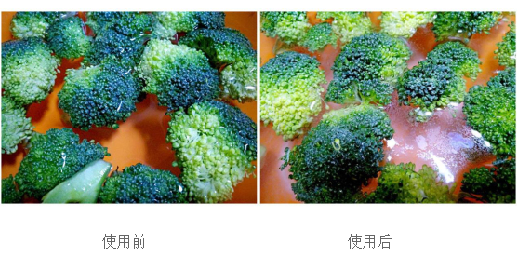 30101050_5155.png